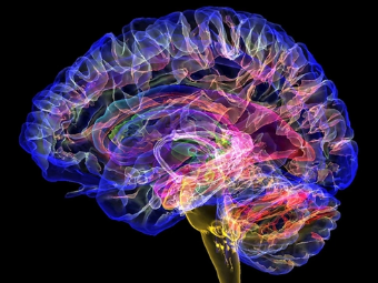 欧美操逼色图大脑植入物有助于严重头部损伤恢复